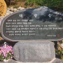 태광사 이미지