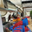 진형농장 이미지