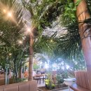 뱀부포레스트(BAMBOO Forest) 이미지