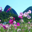 친구친구 Daum카페