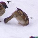 복*서 이미지