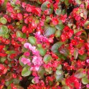 대구역광장 이미지