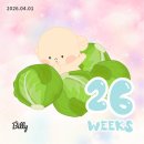 임신 26주~29주차 일상 | 임당 재검 통과 후기, 임당검사 식단관리 꿀팁, 폴로 아기옷 쇼핑