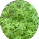 선명카센타 이미지