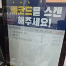 도그마캣대구