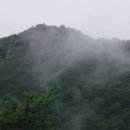 반나절산행(달비골~ 앞산) 산행기 이미지