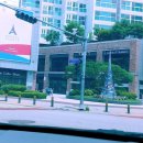 샛별세차장 | [공지] 판교운전연수 율동공원 초입 망캄에서 커피 빵