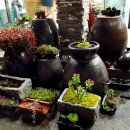 누네띠네 이미지