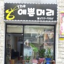 THE예쁜머리 이미지