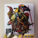 손오공 오락실 | 토리야마 아키라 일러스트집 the world 대형 포스터 간단 후기.