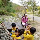 밤비니유치원 이미지