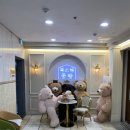 2399 | 창원 용지호수뷰 애견동반 가능한 파스타공방 샤브샤브 후기