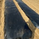 단수농장 이미지