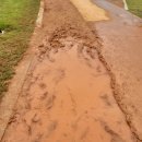 대지-걷기 | 맨발걷기 3개월 후기