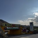 쌍둥이농장 | 강원도에 동물원이?! 강릉 동물농장 강릉쌍둥이동물농장 체험 후기