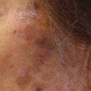 십일남매 이미지