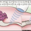 신우정보통신 이미지