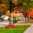 마장호수문화마을협동조합 | 서울 근교 당일치기 여행 추천 코스 7곳 + 카페 정보