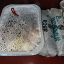 싸다김밥 부산연산역점 이미지