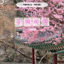 구례5일시장 | 컬 당일치기 구례여행 (지리산치즈랜드, 구례소나무정원, 구례힐링팜, 화엄사, 백련산방, 구례5일시장)