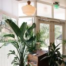 무성약국 이미지