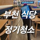 돌핀크린 이미지