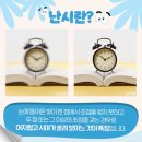 눈에빛안경콘택트 이미지