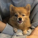 면역력 끌어올려 ~ ~