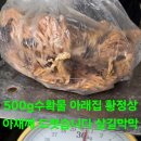 백두공사 Daum카페
