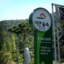 [오토캠핑] 공주 이안숲속수목원 야영장 - 충남 공주 이미지