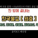 한국불교와 원효-일심사상,진여문,생멸문,화쟁사상,무애행 이미지