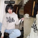 현아소프트