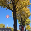 두암1동행정복지센터 이미지