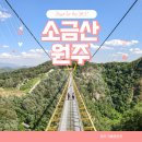 강원도 여행 원주 소금산 케이블카 출렁다리 울렁다리 그랜드밸리
