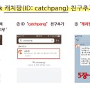 캐치팡(CATCH PANG) 이미지