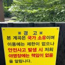 둥지펜션 야영장 | 지리산 펜션 지리산둥지 야영장 거짓 없는 대만족 후기!