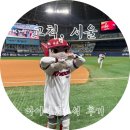 고척스카이돔 로얄 다이아몬드 D05구역 B열 1,2 후기:: 좌석 시야 가격 그라운드셀카타임
