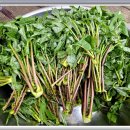 엄나무민박 이미지