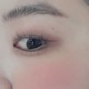 보누르 이미지