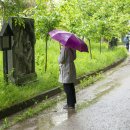 청계1로 이미지