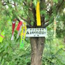 돌고개가든 이미지