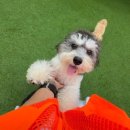 놀러오개 서대문점 이미지