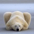 덕천마을 이미지