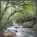 배산주유소 이미지