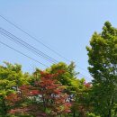 관문체육공원 이미지