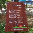 거리공원 이미지