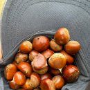 아부지농장 이미지