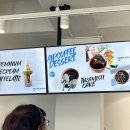 이색뽑기 | 부천 이색 카페 식물 가챠 뽑기 &#39;에이프&#39; 후기 가격