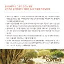 올리브온 이미지