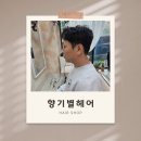 엠와이샵 | 동탄 영천동 미용실추천/꼼꼼하고 머리잘하는곳 향기별헤어